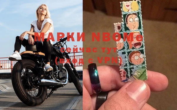 прущие грибы Алексин