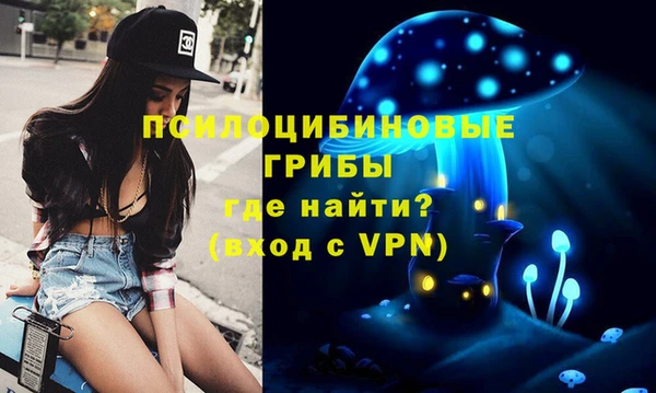 бошки Абаза