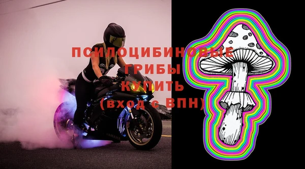 бошки Абаза