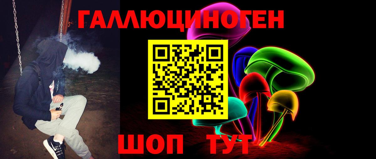 Истра  Псилоцибиновые грибы Psilocybine cubensis  Вход с VPN 