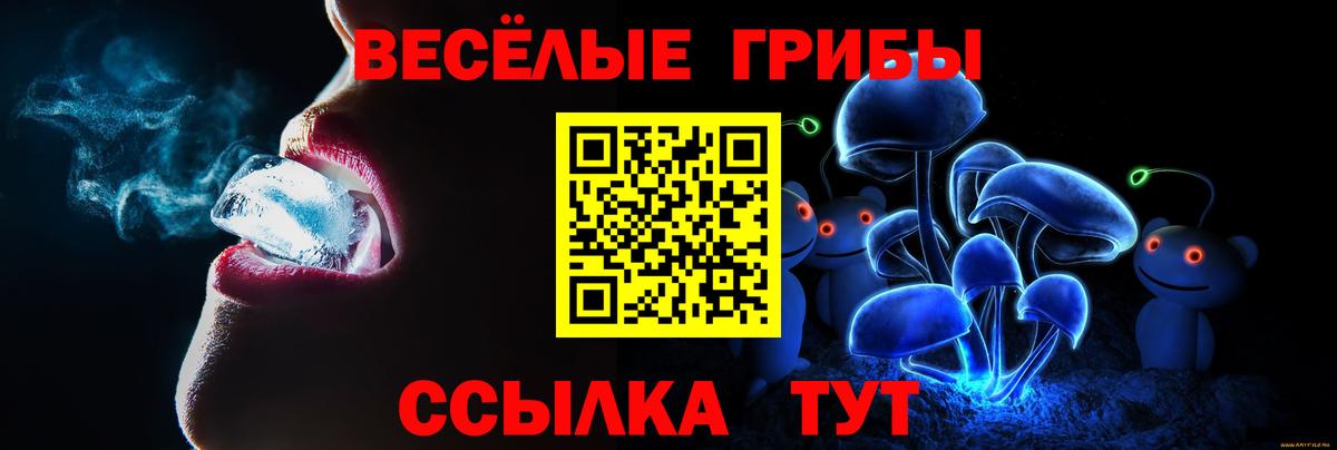 Псилоцибиновые грибы мухоморы Истра
